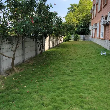 grass1